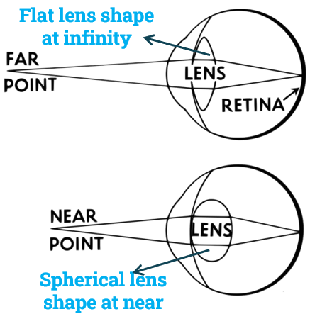 Definition of Accommodation of eye