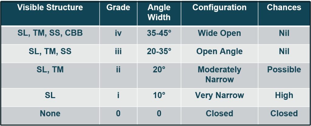 Shaffer’s Gonioscopy Grading Table Details