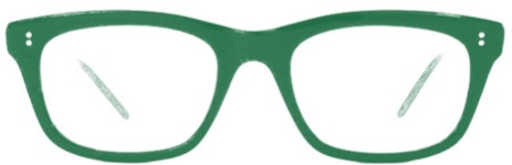 Ophthalmic Frame