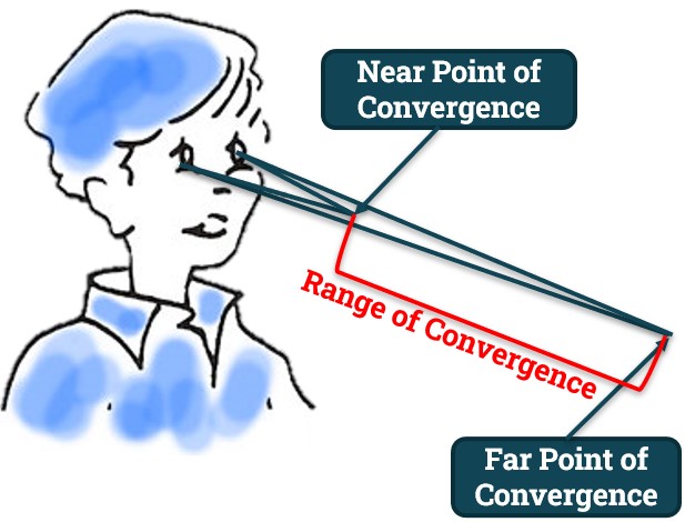 Range of convergence of eyes