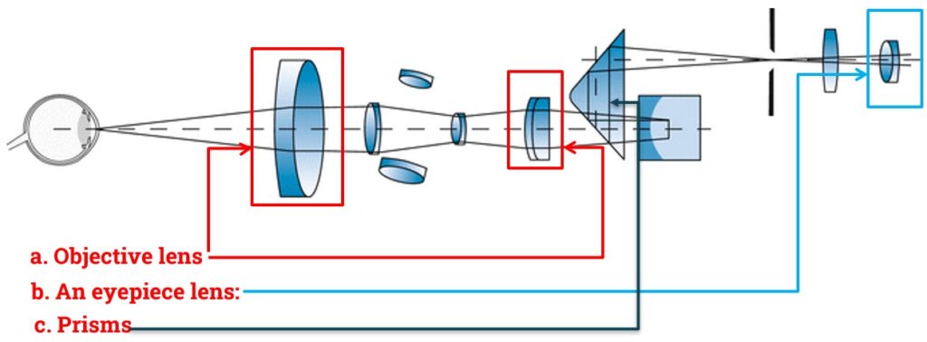 Observation System of Slit Lamp