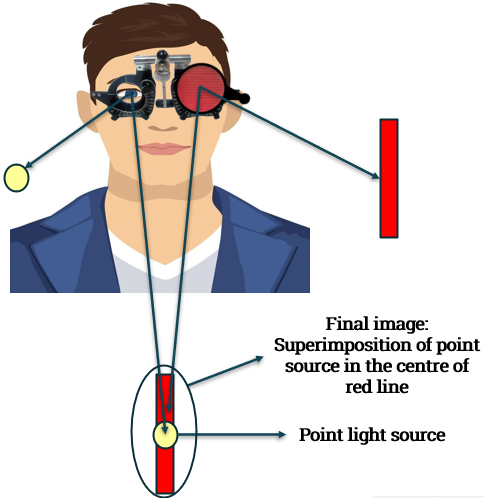 Principle of Maddox Test