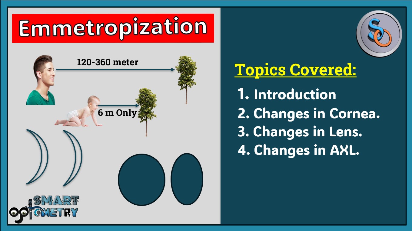 Blog- Emmetropization (The process of achieving normal vision)