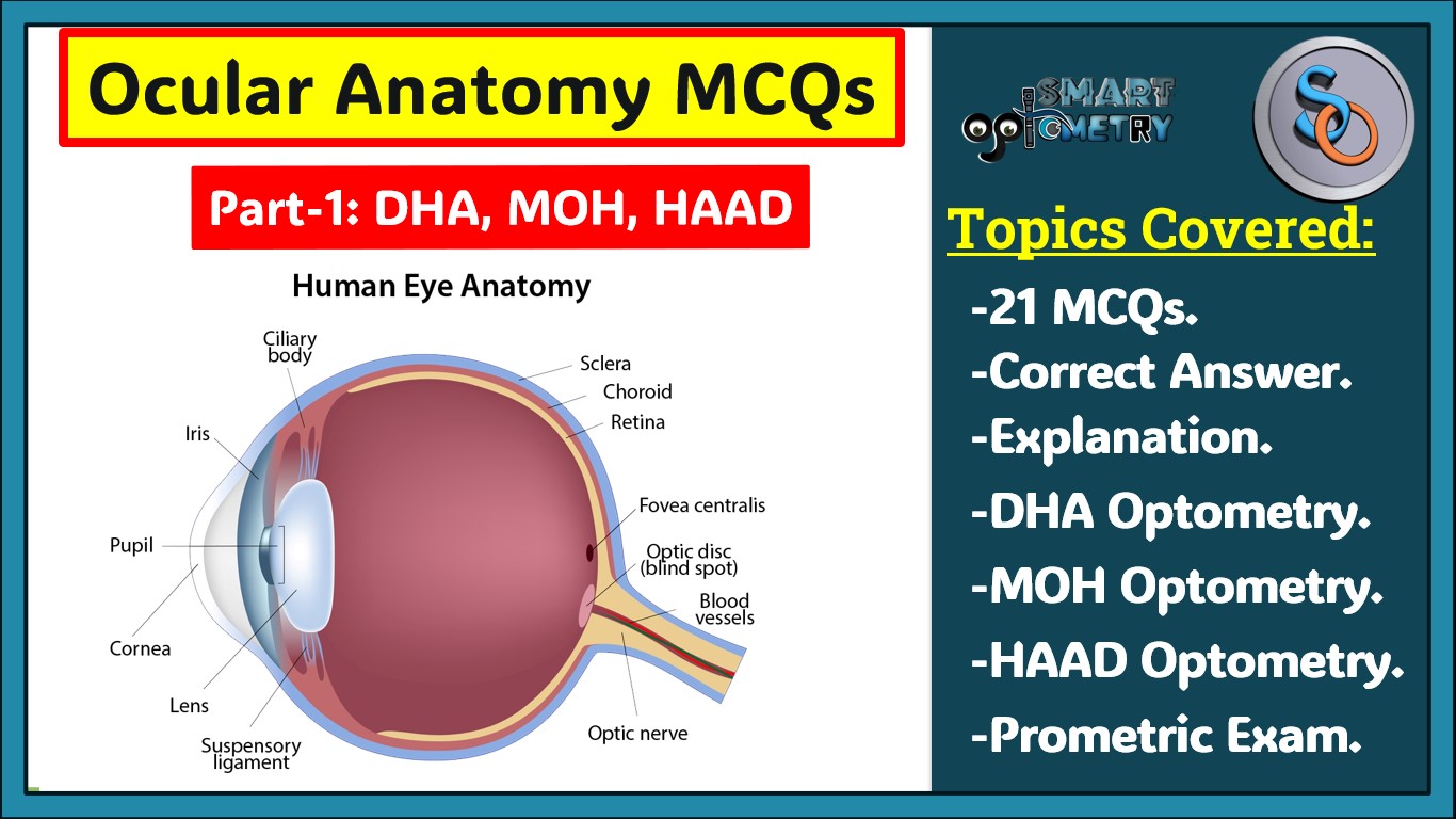 Blog- Ocular Anatomy MCQs- Part 1 (DHA, MOH, HAAD exam Optometry )