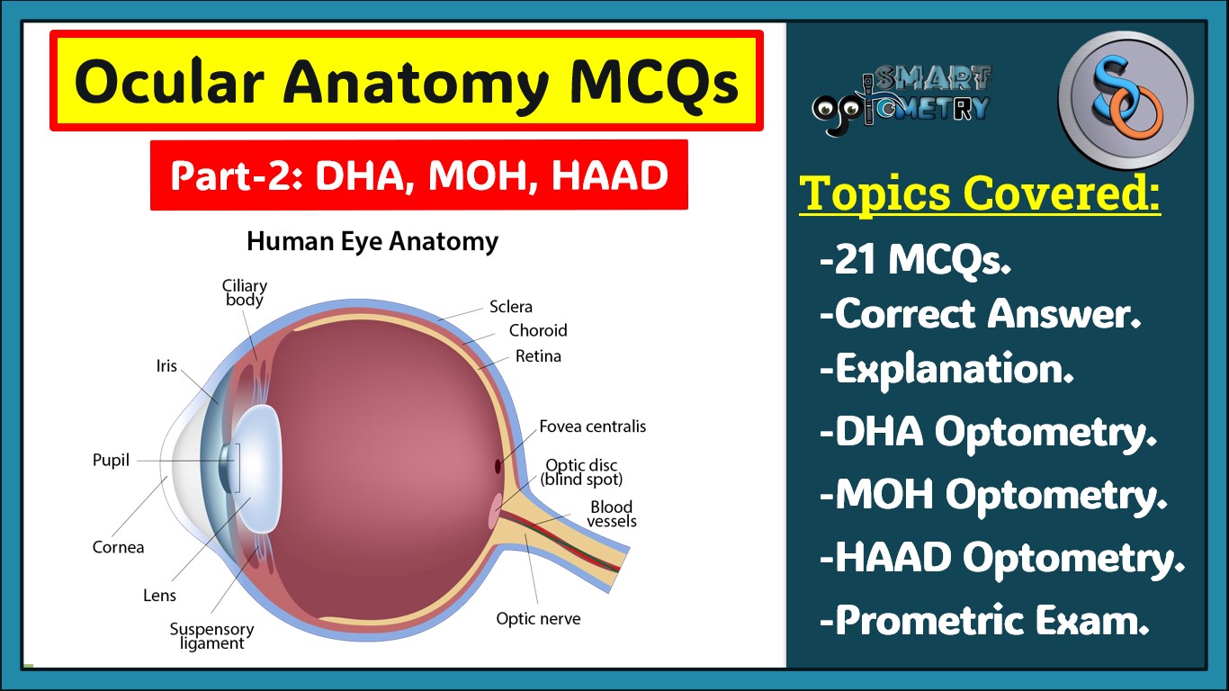 Blog- Ocular Anatomy MCQs- Part 2