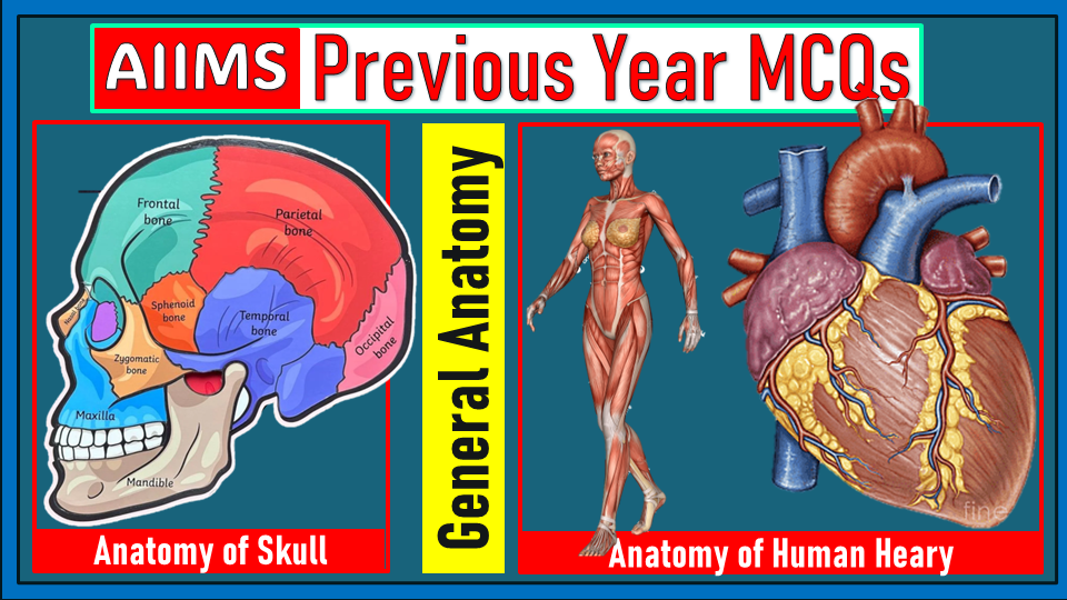 AIIMS General Anatomy PYQs │AIIMS Optometry PYQs │Optometry Govt Job Preparation │AIIMS Previous Year MCQs